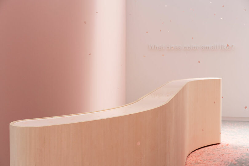 Modern exhibit with curved wooden bench and pink walls, featuring the text "what does color smell like?" on the wall.